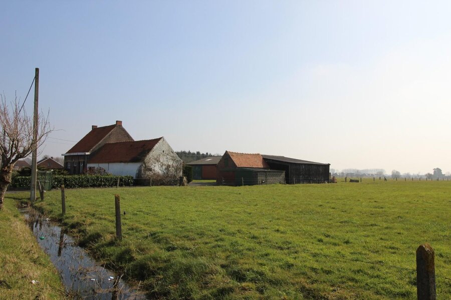 Te renoveren hoevewoning met hangaar, loods en weilanden