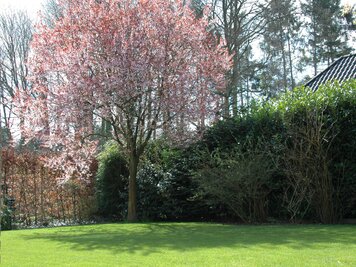 Ruime gezinswoning te huur op toplocatie in De Pinte! - 21