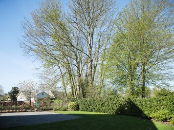 Charmate woning met 4 slaapkamers - 21