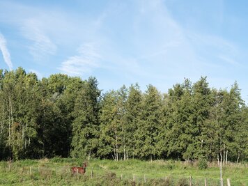 Charmante, gerenoveerde en instapklare woning in Deinze! - 25