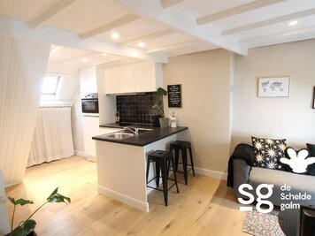 Gerenoveerde studio in Machariuswijk - 4